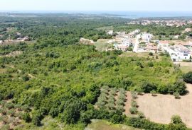 Istra, građevinsko zemljište okolica Poreča, Tar-Vabriga, Arazi