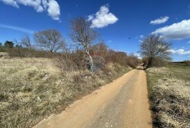 Poljoprivredna parcela u okolici Grožnjana, Grožnjan, Terreno