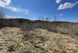 Poljoprivredna parcela u okolici Grožnjana, Grožnjan, Terreno