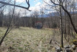 Viškovo - negrađevinski teren 6500m2, Viškovo, Terreno