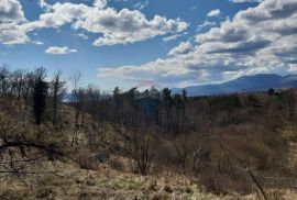 Viškovo - negrađevinski teren 6500m2, Viškovo, Land