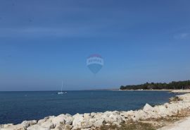 Poreč, najam poslovnog prostora, Poreč, Εμπορικά ακίνητα