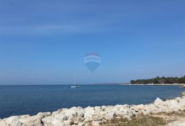 Poreč, najam poslovnog prostora, Poreč, Εμπορικά ακίνητα