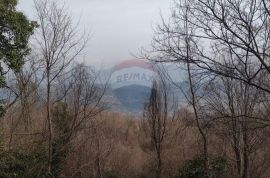 PIĆAN, ISTRA, SEOSKO IMANJE 53000m2, PRODAJA, Pićan, Terra