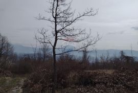 PIĆAN, ISTRA, SEOSKO IMANJE 53000m2, PRODAJA, Pićan, Terrain