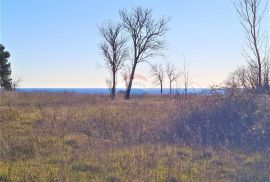 Istra Umag-Savudrija,Građevinsko zemljište turističke namjene, Umag, Terreno