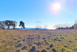 Istra Umag-Savudrija,Građevinsko zemljište turističke namjene, Umag, Terrain