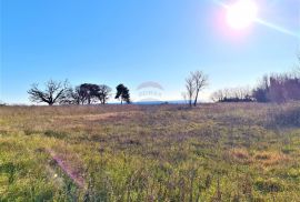 Istra Umag-Savudrija,Građevinsko zemljište turističke namjene, Umag, Terrain