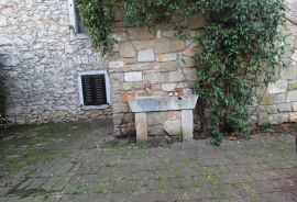 Istra, Brtonigla - Samostojeća kuća u okolici Brtonigle sa pogledom na more, Brtonigla, House