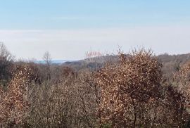 Medvidići, građevinska dozvola za kuću  i veliko poljoprivredno zemljište, Sveti Lovreč, Kuća