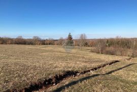 Istra, okolica Baderne, dugoročni najam građevinske zemlje, Tinjan, Land