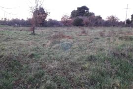 ISTRA,VOLME,NEGRAĐEVINSKO ZEMLJIŠTE 600M DO MORA, Medulin, Terreno