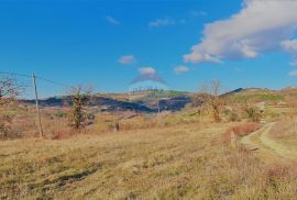 GRAĐEVINSKO ZEMLJIŠTE SA POGLEDOM NA MORE, Buje, Terrain