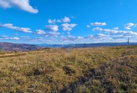 GRAĐEVINSKO ZEMLJIŠTE SA POGLEDOM NA MORE, Buje, Terrain