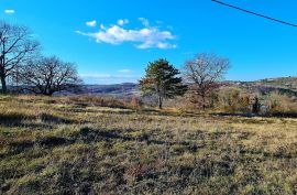 GRAĐEVINSKO ZEMLJIŠTE SA POGLEDOM NA MORE, Buje, Terrain