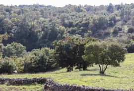 ISTRA, ŽMINJ - Vrhunska kuća za odmor u malom istarskom selu, Žminj, Ev