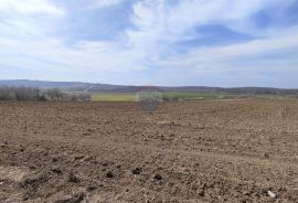 ISTRA,Buje poljoprivredno zemljište sa pogledom na more, Buje, Terreno