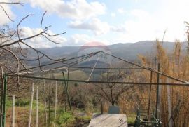 Istra, Motovun - Samostojeća kuća u Motovunu, Motovun, Famiglia