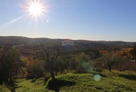 Motovun okolica, autohtona kuća s pogledom na Motovun, Motovun, Casa