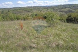 Istra, poljoprivredno zemljište, Pazin - Okolica, Terrain