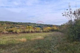 Građevinsko zemljište grožnjan, Grožnjan, Terreno