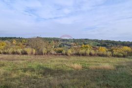 Građevinsko zemljište grožnjan, Grožnjan, Terreno