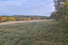 Građevinsko zemljište grožnjan, Grožnjan, Terreno