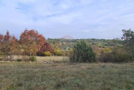 Građevinsko zemljište grožnjan, Grožnjan, Arazi