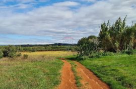 Poljoprivredna parcela 3 Km od Umaga, Umag, أرض