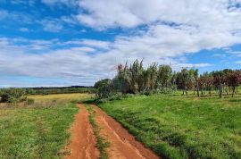 Poljoprivredna parcela 3 Km od Umaga, Umag, Terrain