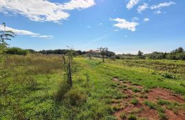 Poljoprivredna parcela 3 Km od Umaga, Umag, Terrain