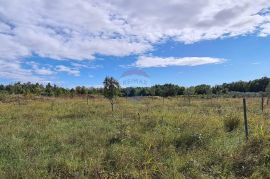 Poljoprivredna parcela 3 Km od Umaga, Umag, Terreno