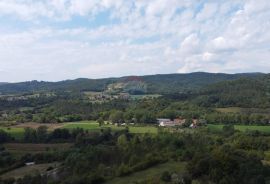 ISTRA, PAZIN - Zemljište mješovite namjene - 6e/m2, Pazin, Arazi