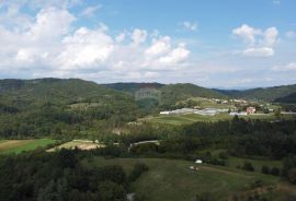 ISTRA, PAZIN - Zemljište mješovite namjene - 6e/m2, Pazin, Terrain