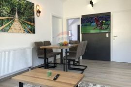 OPATIJA,OPRIĆ- novija kuća sa 8 apartmana, bazenom 50 m2, velikom okućnicom, parkingom, pogledom na more, Opatija - Okolica, Haus