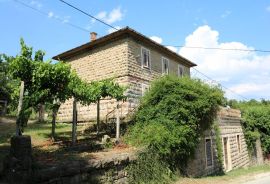 Autohtona starina sa predivnim pogledom na Grožnjan, Grožnjan, House