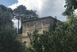 Autohtona starina sa predivnim pogledom na Grožnjan, Grožnjan, House