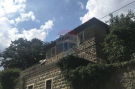 Autohtona starina sa predivnim pogledom na Grožnjan, Grožnjan, House