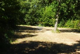 Jedinstveno građevinsko zemljište s pogledom na more, Tar-Vabriga, Land