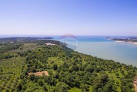 Jedinstveno građevinsko zemljište s pogledom na more, Tar-Vabriga, Land