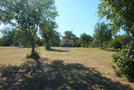 Jedinstveno građevinsko zemljište s pogledom na more, Tar-Vabriga, Terrain