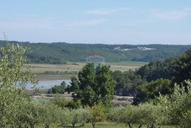 Jedinstveno građevinsko zemljište s pogledom na more, Tar-Vabriga, Terrain