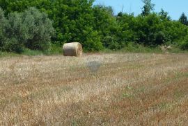 Poljoprivredno zemljište u Kašteliru, Kaštelir-Labinci, Arazi