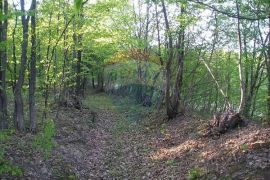 Samobor. Konščica, poljoprivredno zemljište 1900 m2, Samobor - Okolica, Terreno