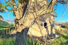 Istra,Momjan-Autohtona stancija na savršenoj lokaciji, Buje, Casa