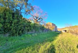 Istra,Momjan-Autohtona stancija na savršenoj lokaciji, Buje, Haus