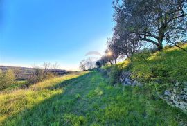 Istra,Momjan-Autohtona stancija na savršenoj lokaciji, Buje, Haus