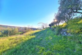 Istra,Momjan-Autohtona stancija na savršenoj lokaciji, Buje, Casa