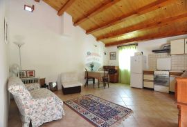 Rovinj,Ranch-20 000m2 i 3 kuće,1km od mora, Rovinj, بيت