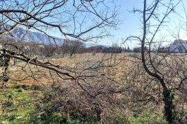 Crikvenica, zaleđe građevinski teren 1357m2, Vinodolska Općina, Terrain